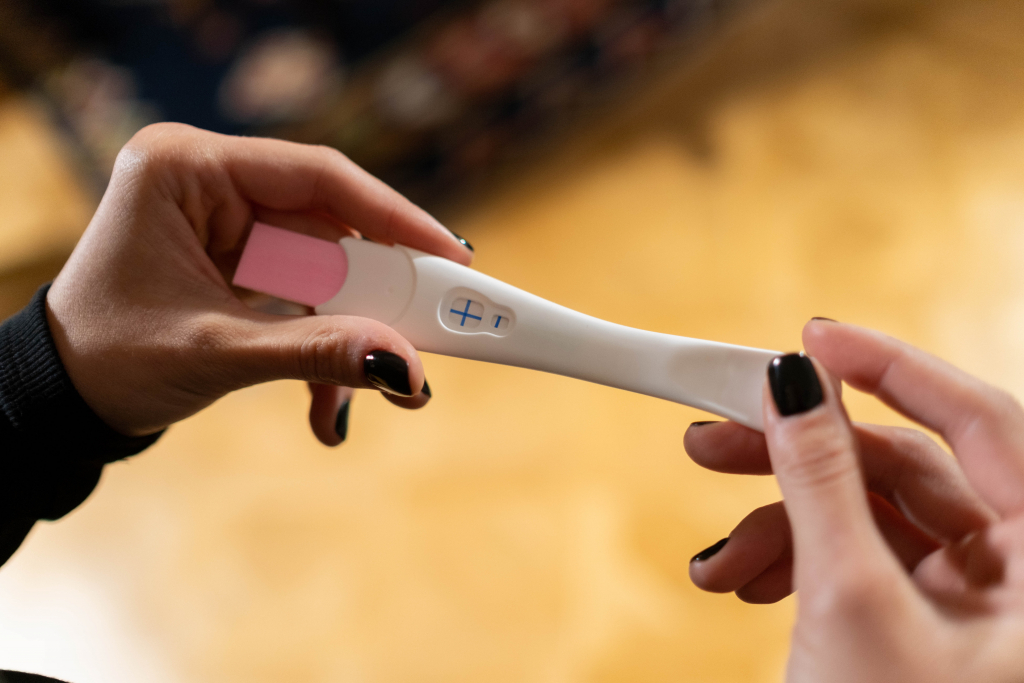 test za trudnocu